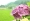 L版写真10,000枚を並べて作ったモザイクアート