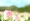 L版写真10,000枚を並べて作ったモザイクアート