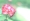 L版写真10,000枚を並べて作ったモザイクアート