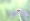 L版写真10,000枚を並べて作ったモザイクアート