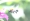 L版写真10,000枚を並べて作ったモザイクアート