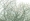 L版写真10,000枚を並べて作ったモザイクアート