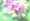 L版写真10,000枚を並べて作ったモザイクアート