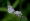 L版写真10,000枚を並べて作ったモザイクアート