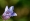 L版写真10,000枚を並べて作ったモザイクアート