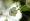 L版写真10,000枚を並べて作ったモザイクアート
