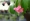 L版写真10,000枚を並べて作ったモザイクアート