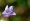 L版写真10,000枚を並べて作ったモザイクアート