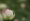 L版写真10,000枚を並べて作ったモザイクアート