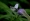 L版写真10,000枚を並べて作ったモザイクアート