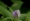 L版写真10,000枚を並べて作ったモザイクアート