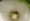 L版写真10,000枚を並べて作ったモザイクアート