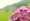 L版写真10,000枚を並べて作ったモザイクアート