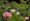 L版写真10,000枚を並べて作ったモザイクアート