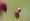 L版写真10,000枚を並べて作ったモザイクアート