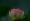 L版写真10,000枚を並べて作ったモザイクアート