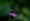 L版写真10,000枚を並べて作ったモザイクアート