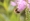 L版写真10,000枚を並べて作ったモザイクアート