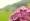 L版写真10,000枚を並べて作ったモザイクアート