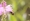 L版写真10,000枚を並べて作ったモザイクアート