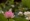 L版写真10,000枚を並べて作ったモザイクアート