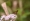 L版写真10,000枚を並べて作ったモザイクアート