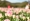 L版写真10,000枚を並べて作ったモザイクアート