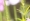 L版写真10,000枚を並べて作ったモザイクアート