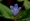 L版写真10,000枚を並べて作ったモザイクアート