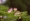 L版写真10,000枚を並べて作ったモザイクアート