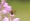 L版写真10,000枚を並べて作ったモザイクアート