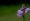 L版写真10,000枚を並べて作ったモザイクアート
