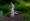 L版写真10,000枚を並べて作ったモザイクアート