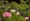 L版写真10,000枚を並べて作ったモザイクアート