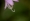 L版写真10,000枚を並べて作ったモザイクアート