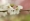 L版写真10,000枚を並べて作ったモザイクアート