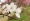 L版写真10,000枚を並べて作ったモザイクアート