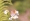 L版写真10,000枚を並べて作ったモザイクアート