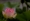 L版写真10,000枚を並べて作ったモザイクアート