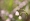 L版写真10,000枚を並べて作ったモザイクアート