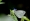 L版写真10,000枚を並べて作ったモザイクアート
