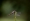 L版写真10,000枚を並べて作ったモザイクアート