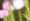 L版写真10,000枚を並べて作ったモザイクアート