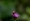 L版写真10,000枚を並べて作ったモザイクアート