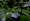 L版写真10,000枚を並べて作ったモザイクアート