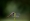 L版写真10,000枚を並べて作ったモザイクアート
