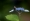 L版写真10,000枚を並べて作ったモザイクアート