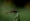 L版写真10,000枚を並べて作ったモザイクアート