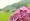 L版写真10,000枚を並べて作ったモザイクアート