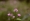 L版写真10,000枚を並べて作ったモザイクアート